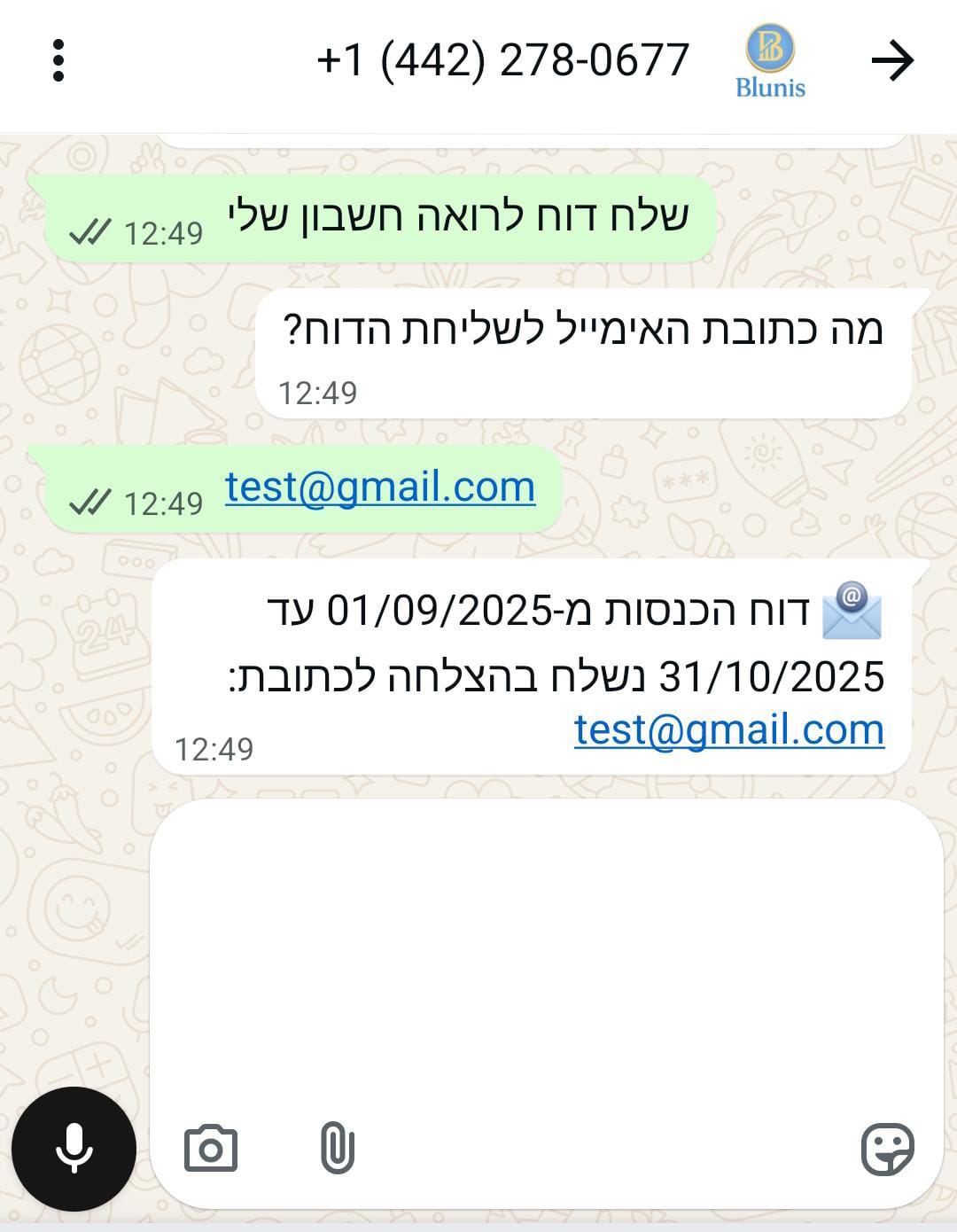 שליחת דוח חודשיים אחרונים של הרו״ח